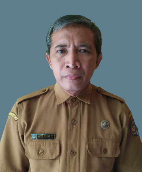 AGUS SUSANTO, S.Pd, M.Pd